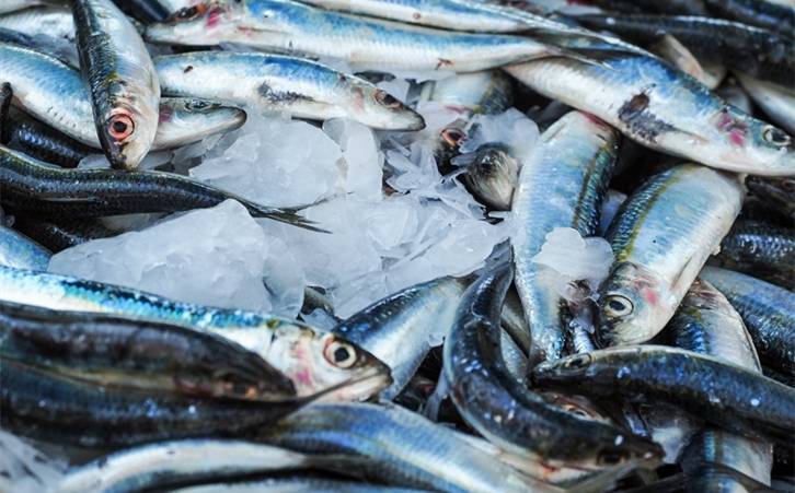 加拿大冷凍魚進(jìn)口報關(guān) 加拿大冷凍魚進(jìn)口報關(guān)一站式進(jìn)口代理公司