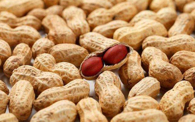 1605668209320473.jpg 農產品進口報關