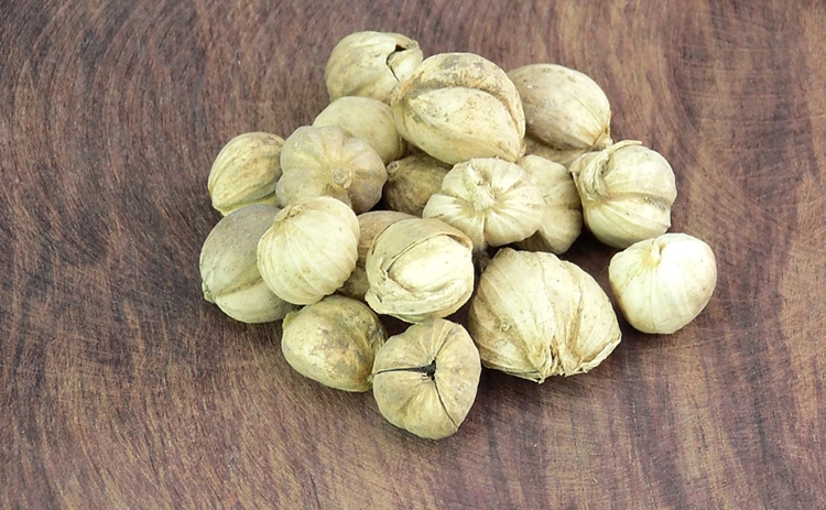 天津港進口豆蔻清關(guān)一站式代理服務 豆蔻進口報關(guān)_副本.jpg