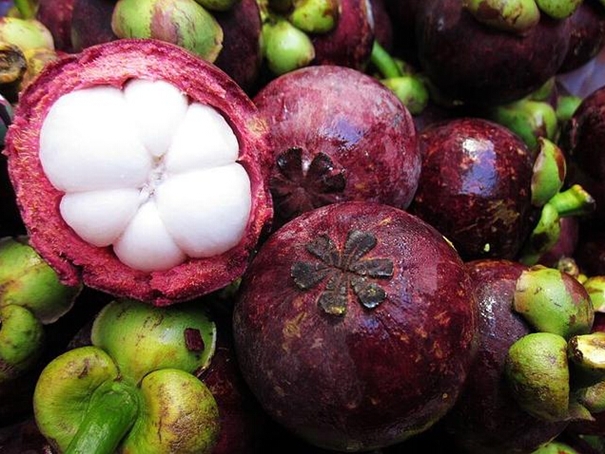 1628074967455682.jpg 洋山港進口山竹清關公司_副本.jpg