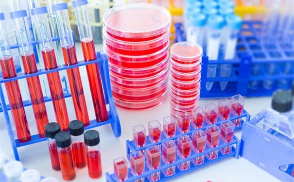 進口細胞清關(guān)需要哪些資料 進口細胞清關(guān)