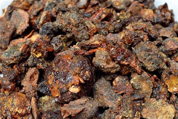 沒藥報(bào)關(guān)報(bào)檢代理公司告訴你進(jìn)口報(bào)關(guān)方案 沒藥報(bào)關(guān)報(bào)檢代理公司.jpg