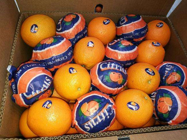 1584582146605109.jpg timg_副本.jpg